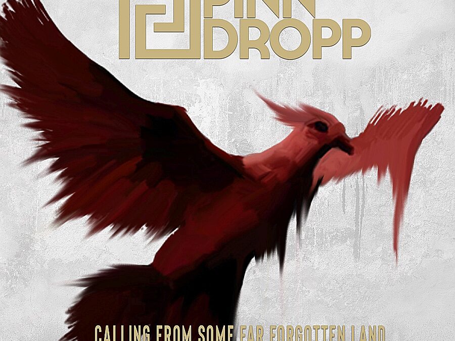 Płyta CD PINN DROPP “…Calling from Some Far Forgotten Land” EP